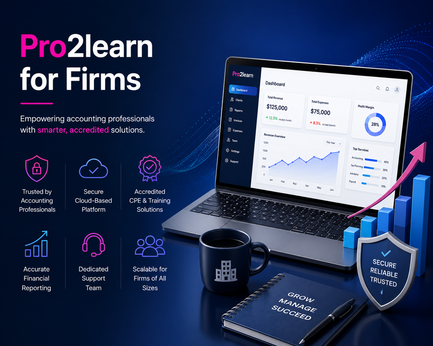 Pro2learn accounting solutions for firms